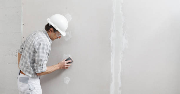 Best Commercial Painting  in Deltana, AK