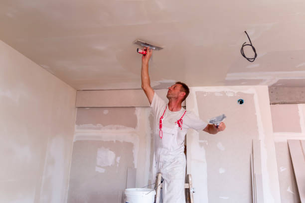 Best Drywall Removal and Disposal  in Deltana, AK